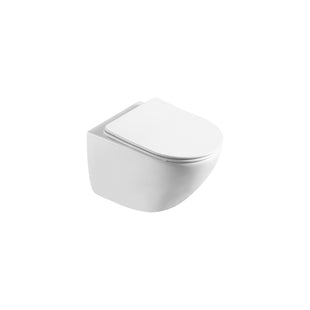 AT-11051DT | Wall-Hung Toilet Bowl Only
