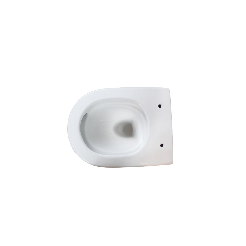 AT-11051DT | Wall-Hung Toilet Bowl Only