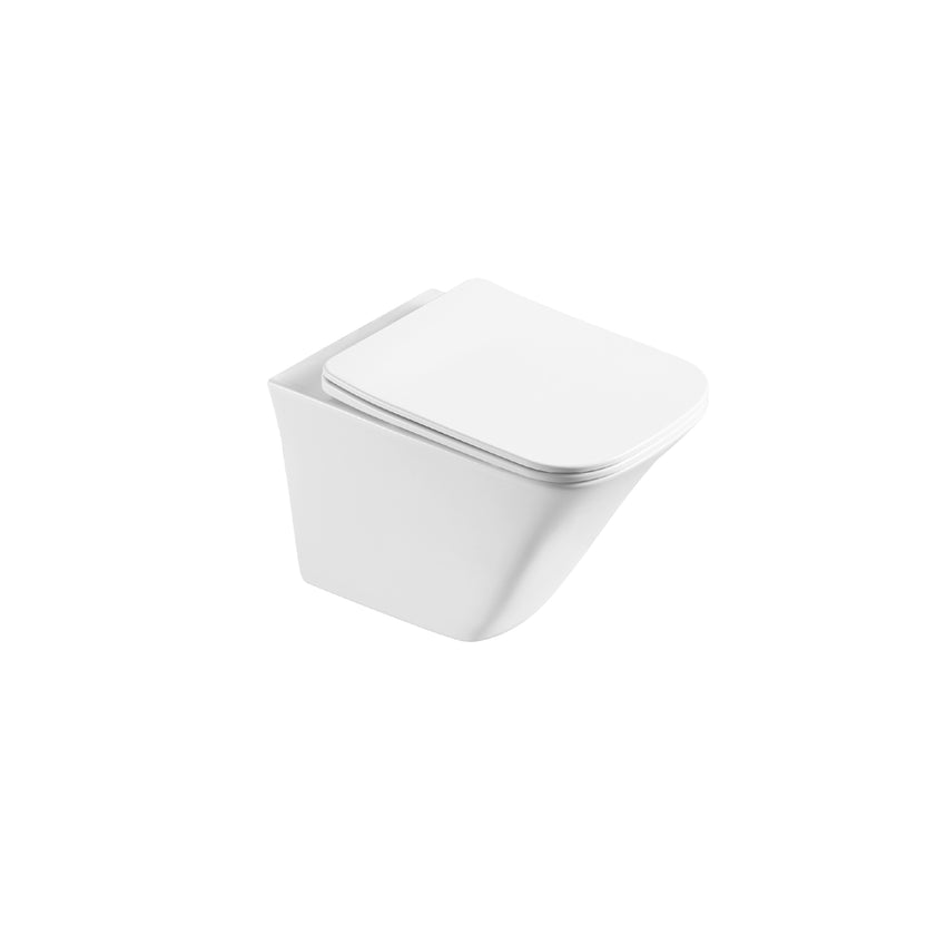 AT-11052D | Wall-Hung Toilet Bowl Only
