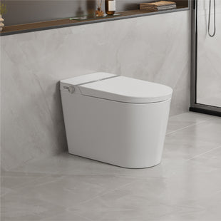 AT-S113 SENSE | AquaTech Smart Toilet