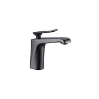 FN-29201BGR | Basin Mixer